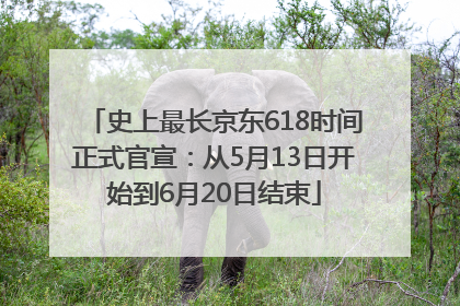 史上最长京东618时间正式官宣：从5月13日开始到6月20日结束
